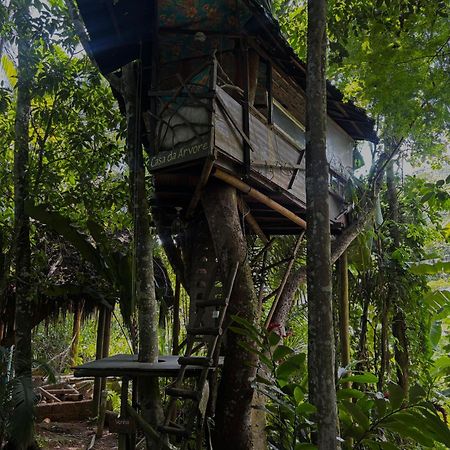 Sitio Simple Life Bed and Breakfast Ubatuba Εξωτερικό φωτογραφία